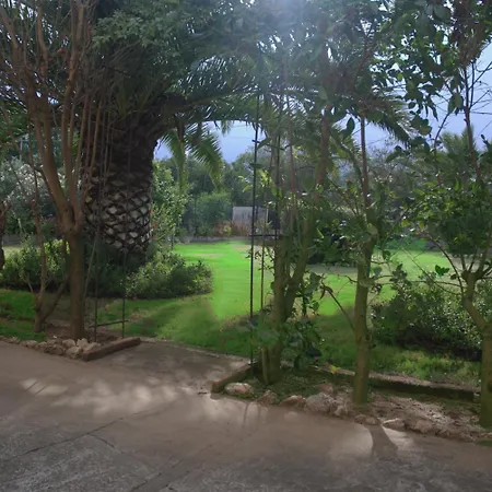 Sorecanu 3* פולה