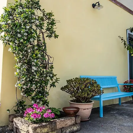 Bed & Breakfast Sorecanu 3*