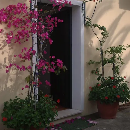 Bed and Breakfast Sorecanu