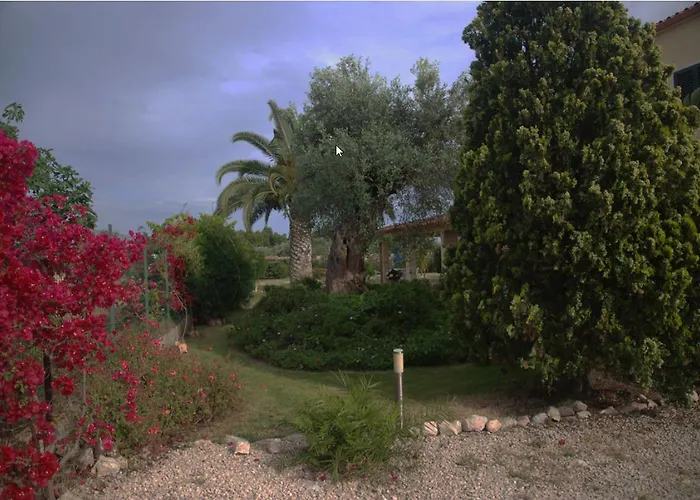 Couette-café Sorecanu 3*